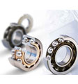 Double Raw Ball Bearing